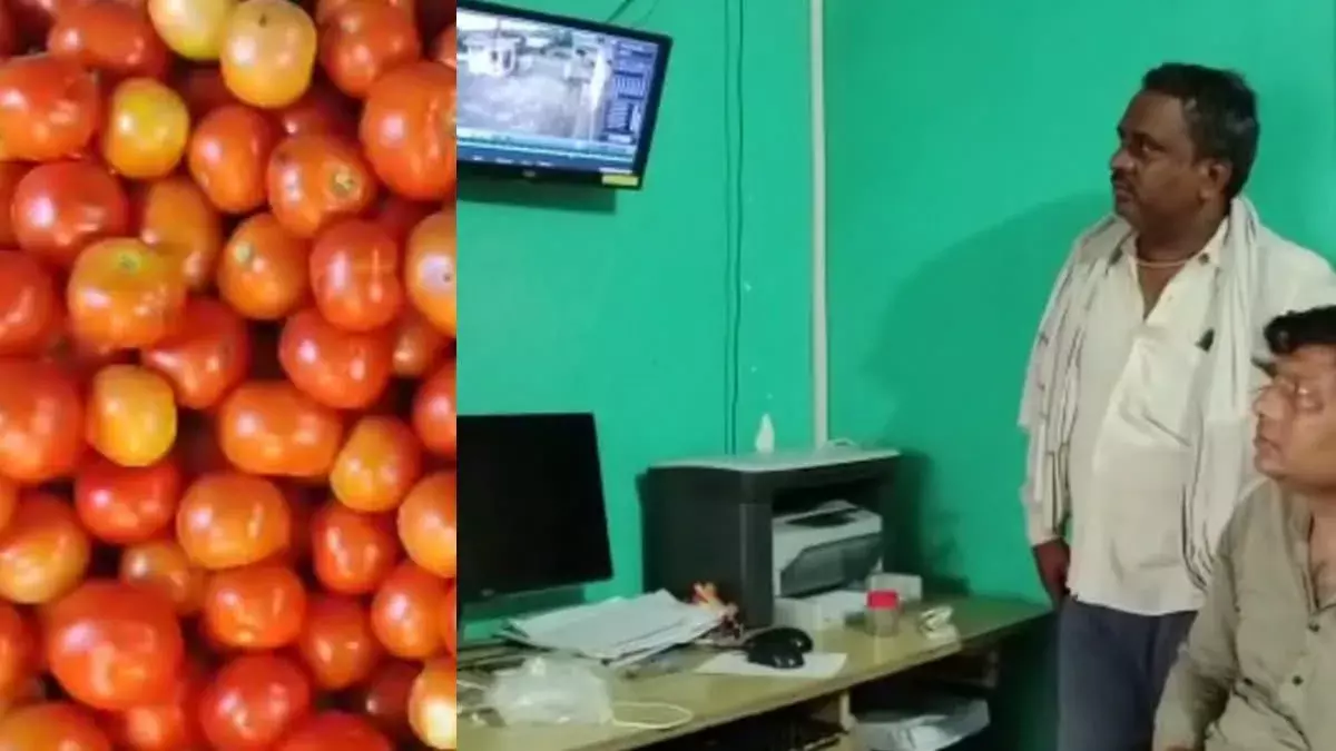 सादाबाद मंडी समिति से चोरी हो गए 25 किलो टमाटर