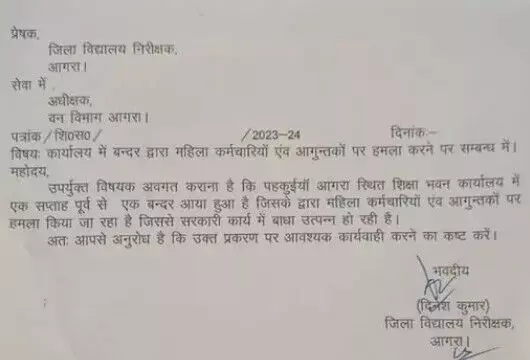 शिक्षा विभाग की महिलाओं ने की शिकायत, कहा बंदर हमें परेशान करता है, पुरुषों को नहीं....