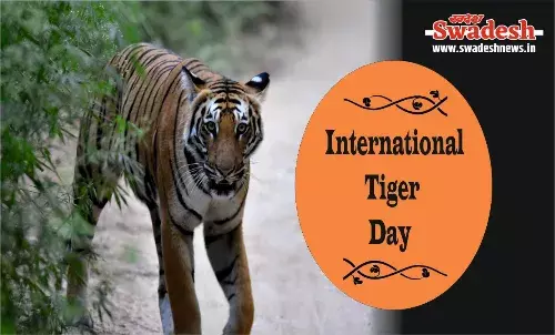 इंटरनेशनल टाइगर डेः बाघों ने बढ़ाया कुनबा, मध्यप्रदेश 785 बाघों की संख्या से बना रहा टाइगर स्टेट