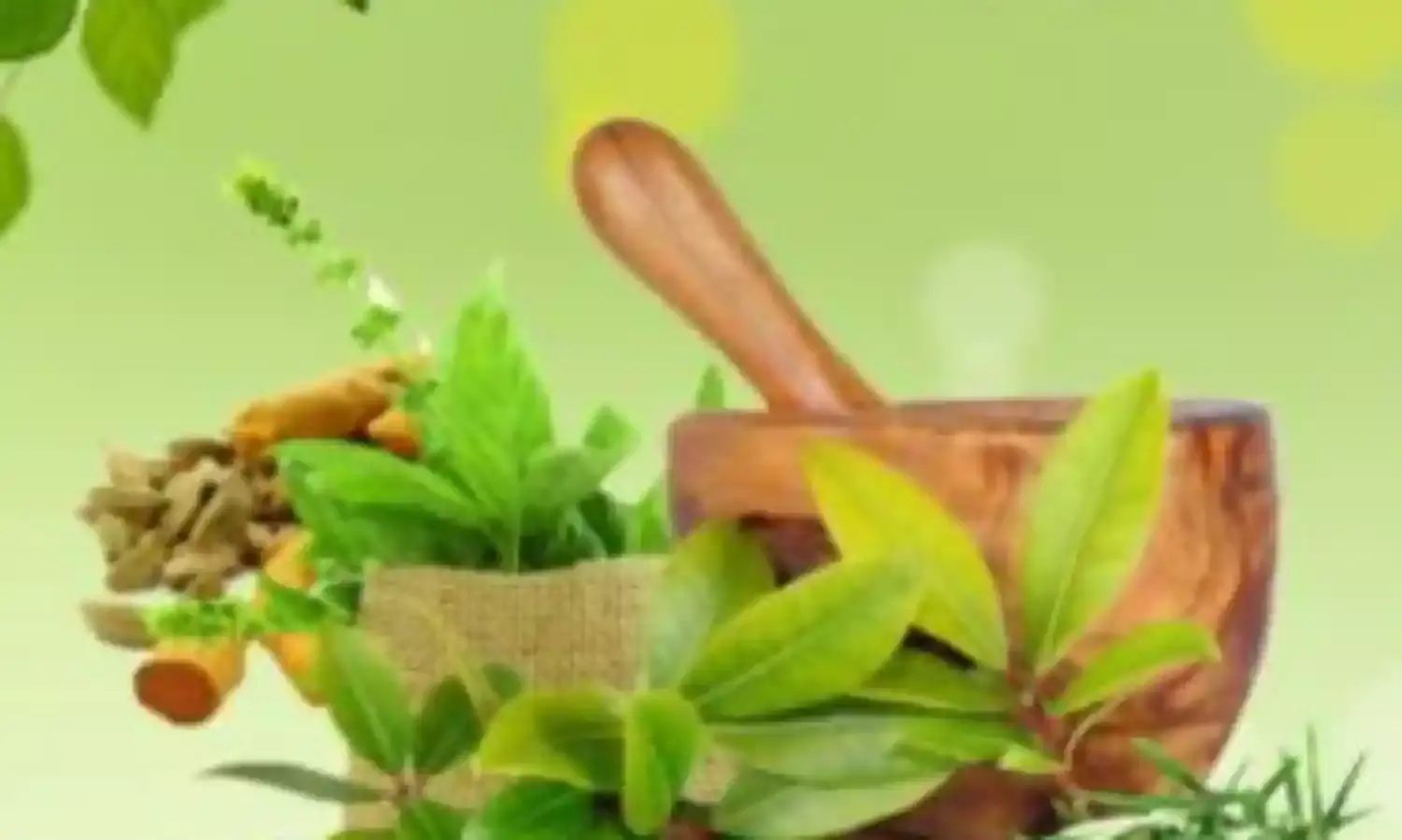 नागरिकों स्वास्थ्य के लिए वरदान बनेगा ‘आयुष वन’