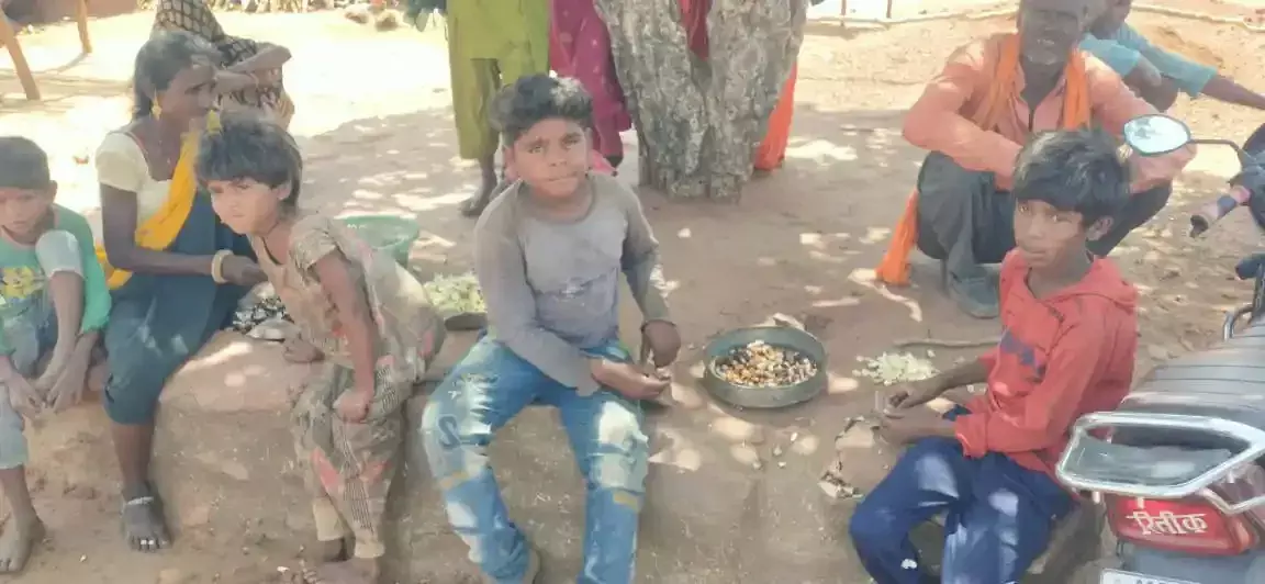 बाजार में बिक्री करने महुआ में से मिंगी निकालते लहरोनी के बच्चे और महिलायें बाजार में बिक्री करने महुआ में से मिंगी निकालते लहरोनी के बच्चे और महिलायें