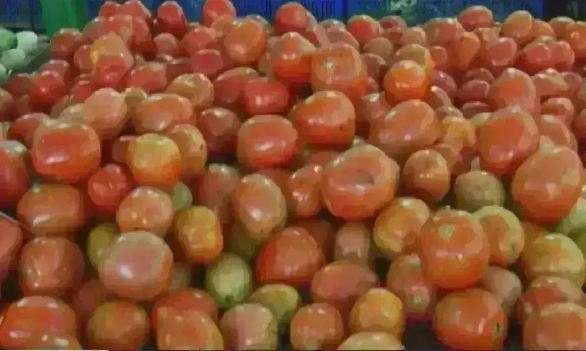 टमाटर ने तोड़े महंगाई के सारे रिकॉर्ड, 250 के पार पहुंची कीमत