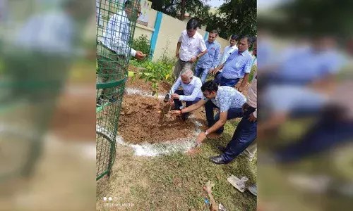 प्रधानमंत्री फसल बीमा योजना : अपनी फसल को जोखिम से बचाएं किसान, बीमा अवश्य कराएं