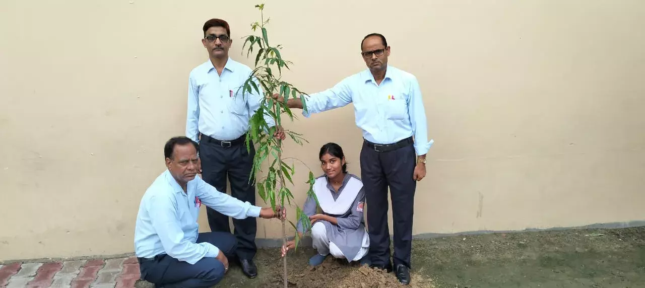 छात्रों के जन्मदिन पर शिक्षकों ने कराया वृक्षारोपण