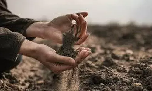 ग्वालियर में देश भक्ति के जज्बे के साथ शुरू हुआ मेरी माटी-मेरा देश अभियान