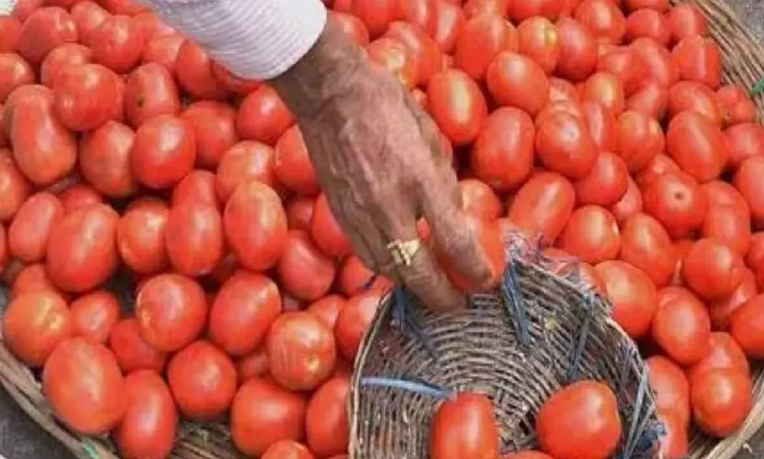 पाकिस्तान में टमाटर ₹600 किलो, सप्लाई घटने से दाम 400% बढ़े