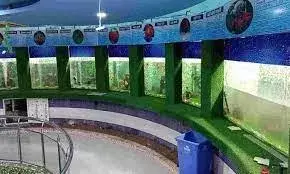 मछलीघर पर बने 3 आर मार्ट में आपके घर की अनुपयोगी वस्तुओं का हो रहा है पुनरुपयोग