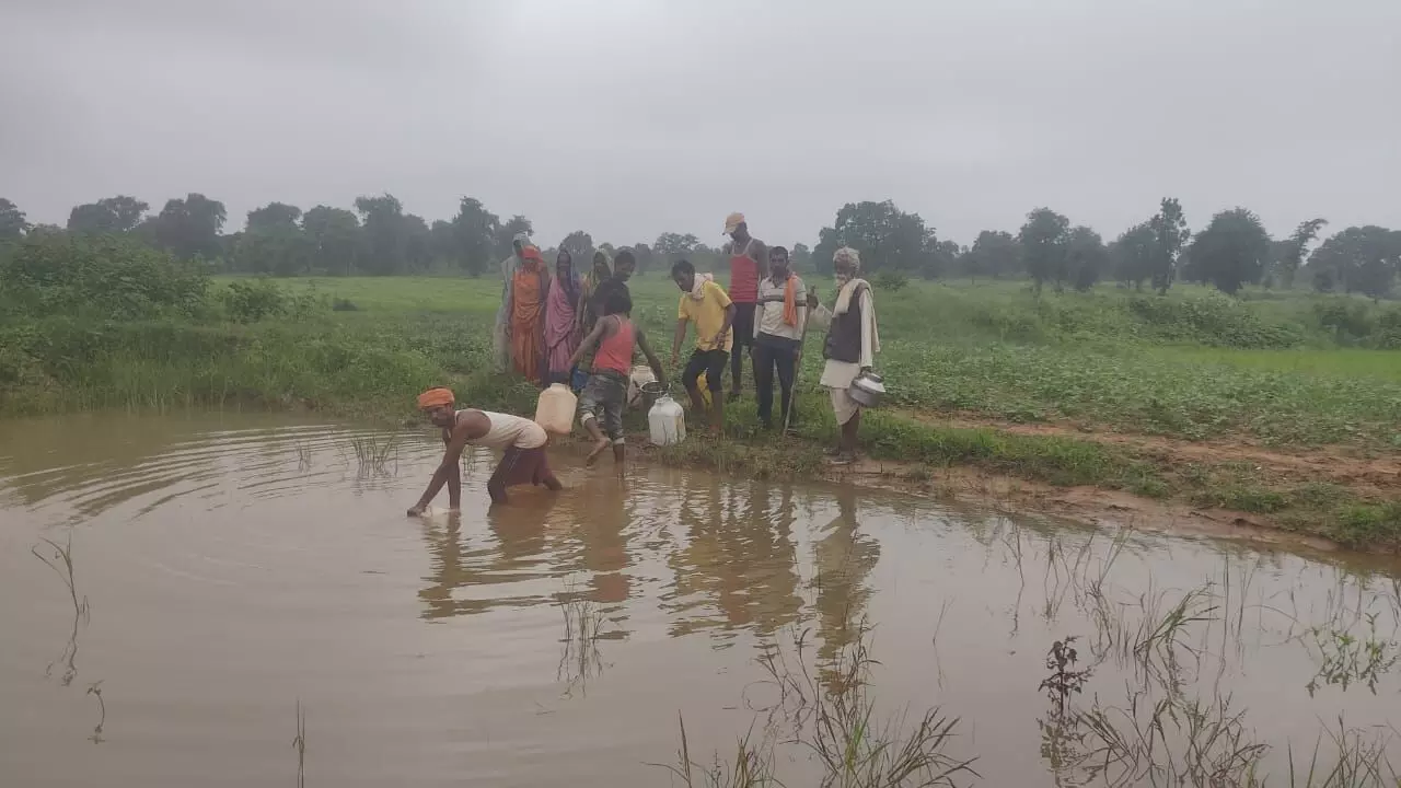 विडंबना: खेत के गड्ढ़े का पानी पीने को मजबूर 470 परिवार, बिजली की बदहाली से सब बेहाल विडंबना: खेत के गड्ढ़े का पानी पीने को मजबूर 470 परिवार, बिजली की बदहाली से सब बेहाल