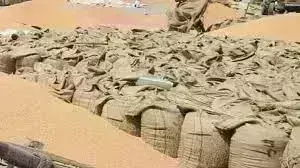 ग्वालियर में अनाज व्यापारियों की 11 सूत्रीय मांगों को लेकर अनिश्चितकालीन हड़ताल, बंद रहेंगी अनाज मंडियां