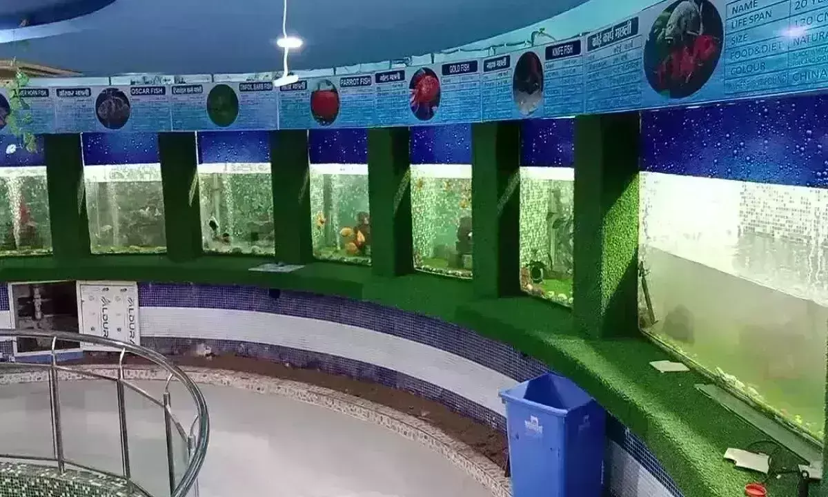 मछलीघर के संचालन पर विपक्ष अड़ा, कहा ठेके पर दिया जाए, सभापति ने वोटिंग कराई तो सत्ता पक्ष को मुंह की खानी पड़ी