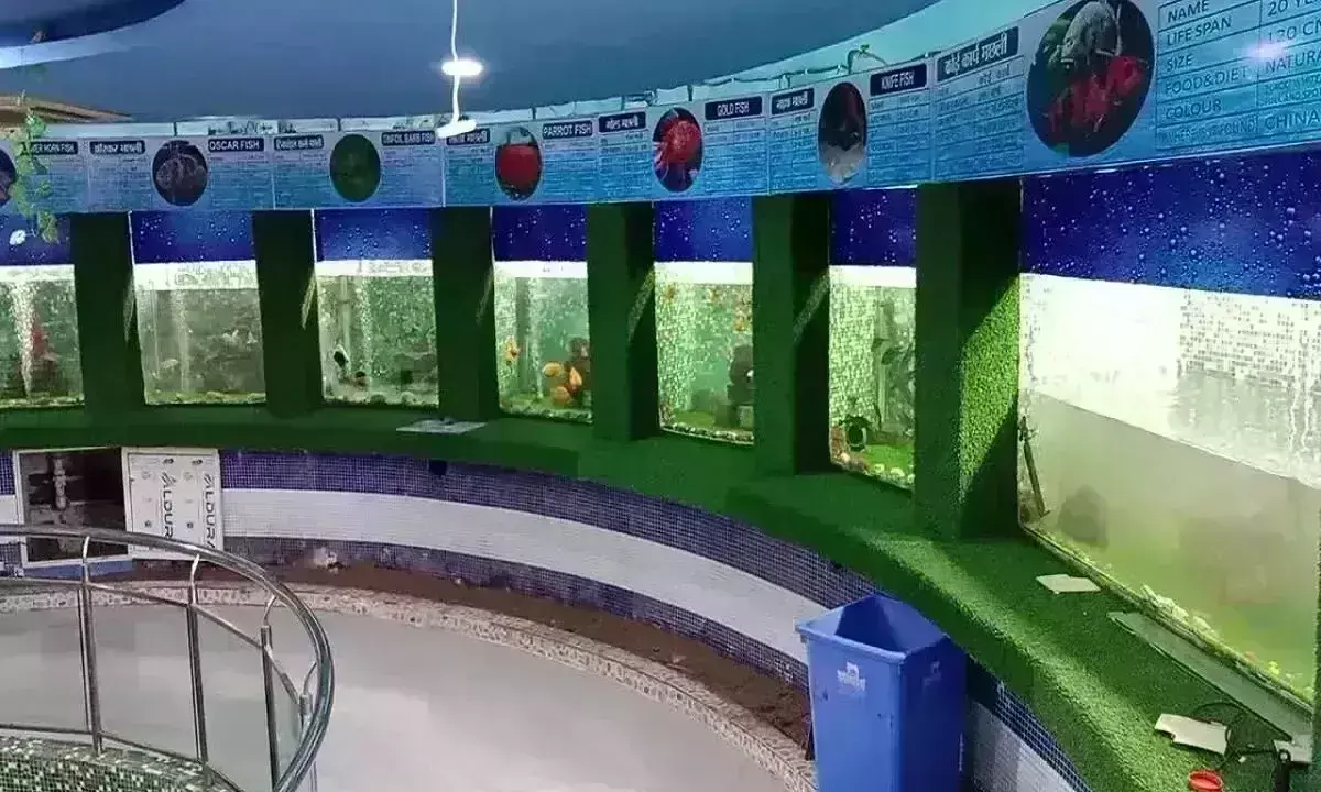 मछलीघर के संचालन पर विपक्ष अड़ा, कहा ठेके पर दिया जाए, सभापति ने वोटिंग कराई तो सत्ता पक्ष को मुंह की खानी पड़ी