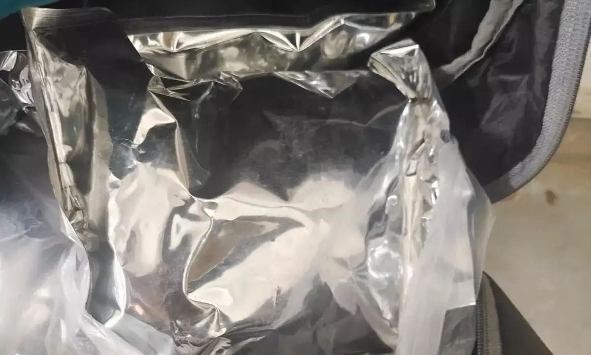 ओडिशा से स्टील पाइप में लाए गांजा, ग्वालियर पुलिस ने तस्करों को दबोचा