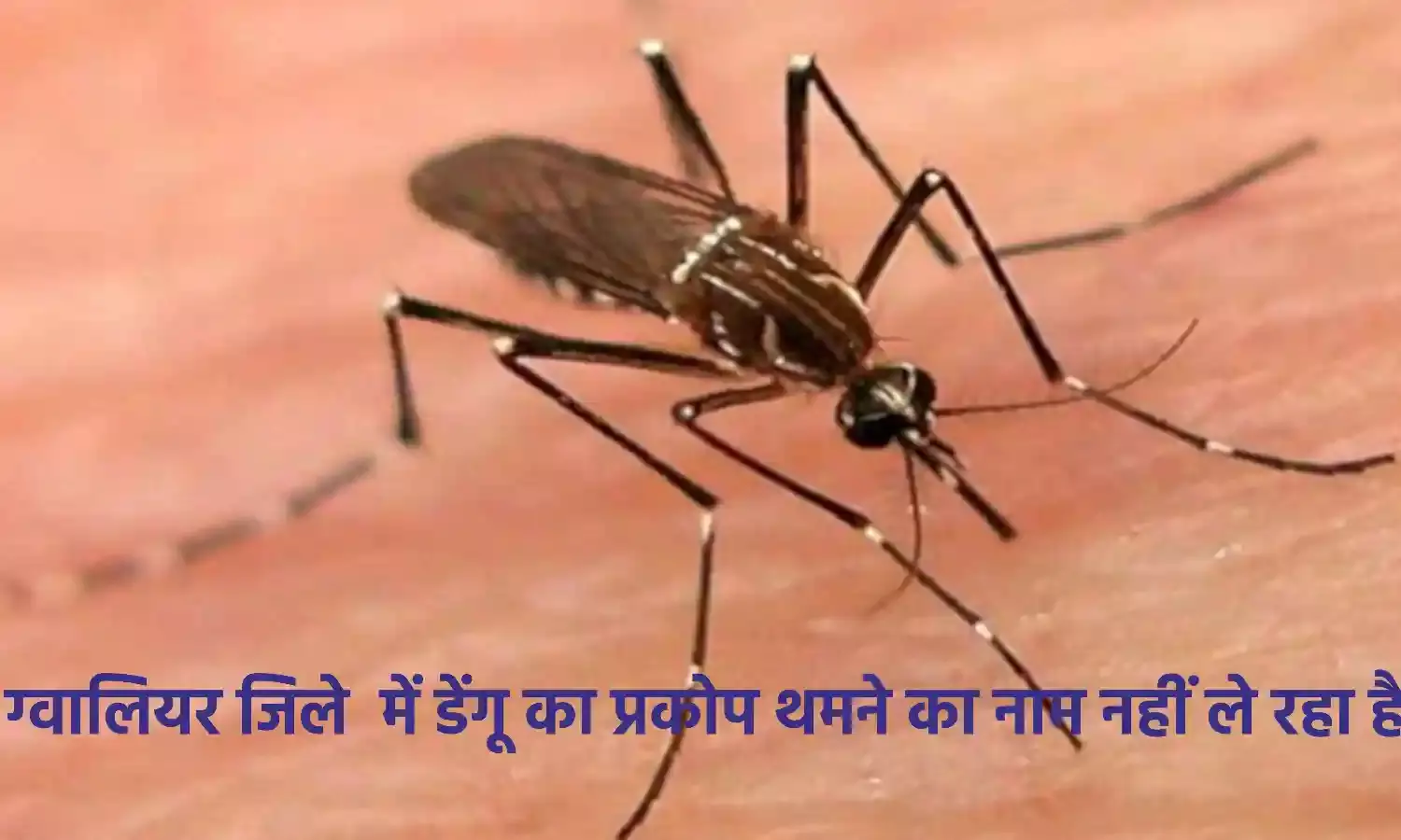 कार्ड टेस्ट पर प्रतिबंद फिर भी हो रहीं जांचे, नहीं भेज रहे जानकारी