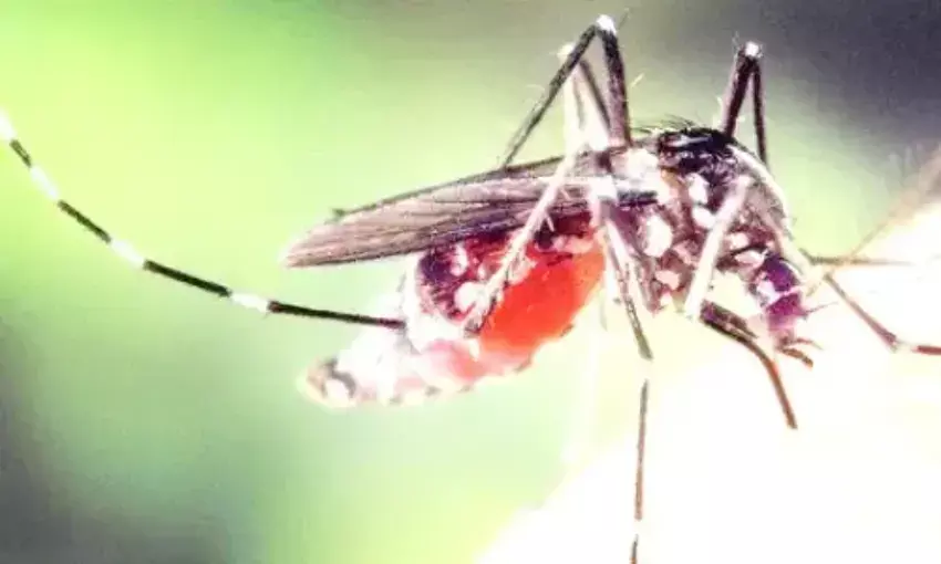 92 संदिग्ध मरीजों की जांच में 16 को निकला डेंगू, 470 पहुंचा आंकडा