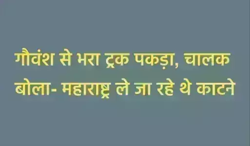 गौवंश से भरा ट्रक पकड़ा, चालक बोला- महाराष्ट्र ले जा रहे थे काटने