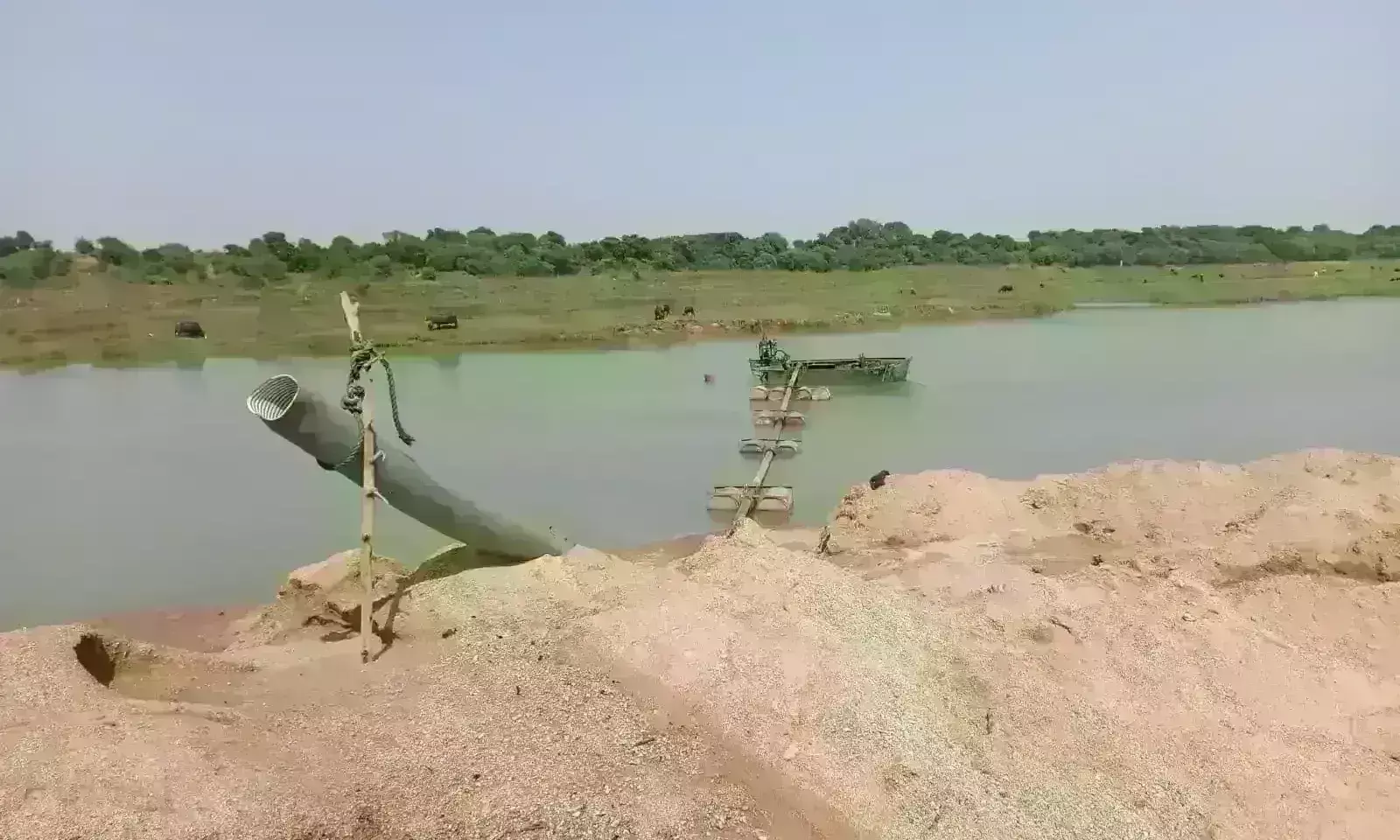 Sand Mafia Sand Mafia