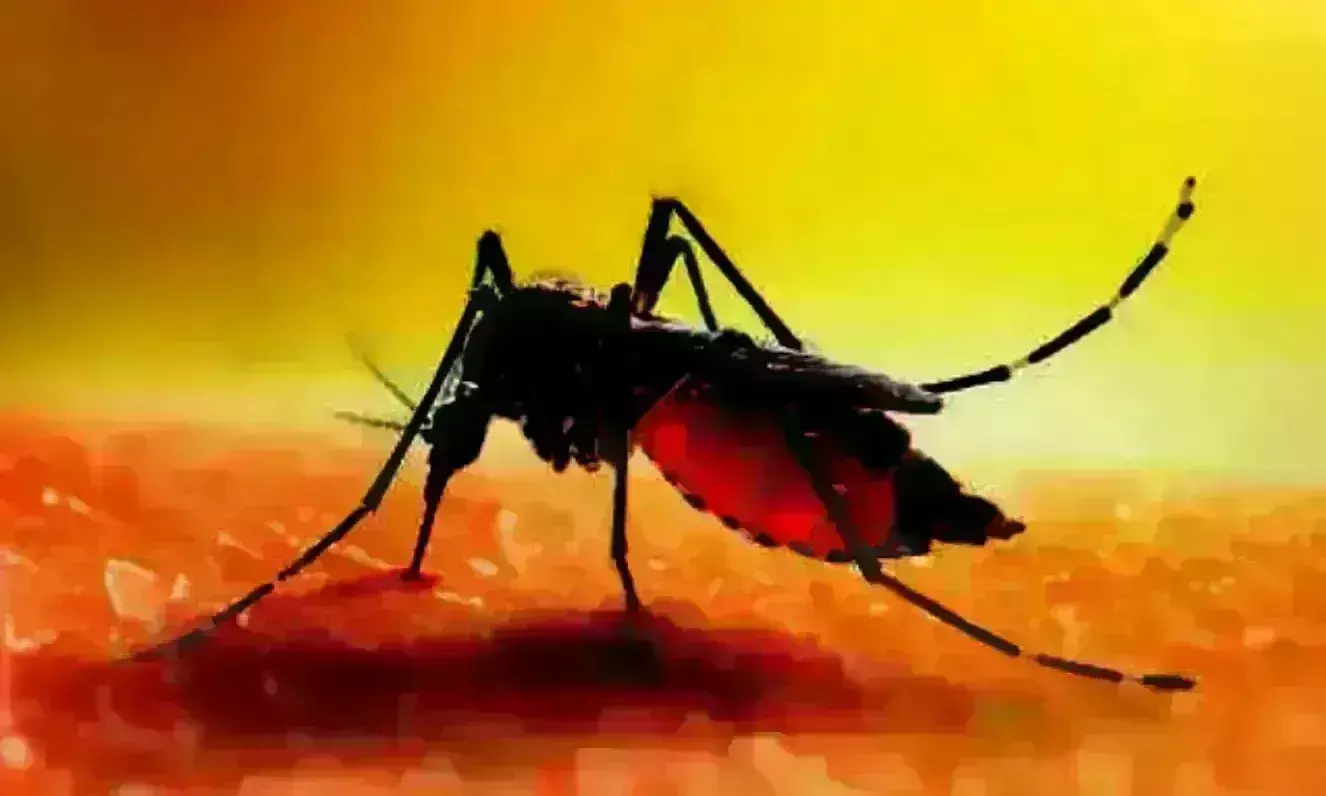 डेंगू से युवती की मौत !