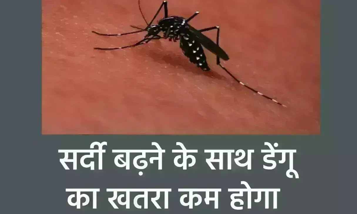 सर्दी बढ़ने के साथ कमजोर होगा डेंगू का डंक, घुटने लगता है मच्छर का दम