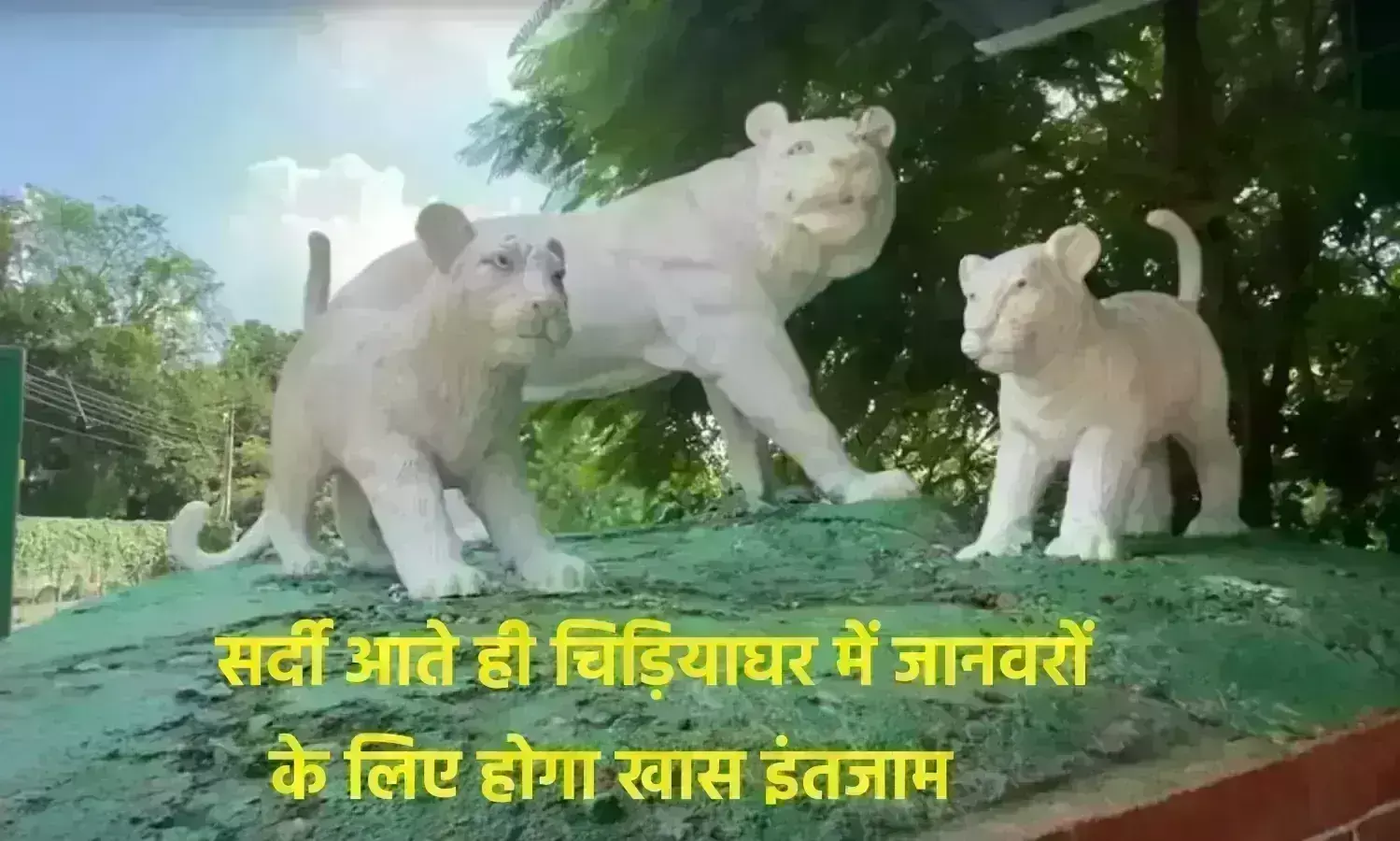 सर्दी आते ही चिड़ियाघर में जानवरों के लिए होगा खास इंतजाम सर्दी आते ही चिड़ियाघर में जानवरों के लिए होगा खास इंतजाम