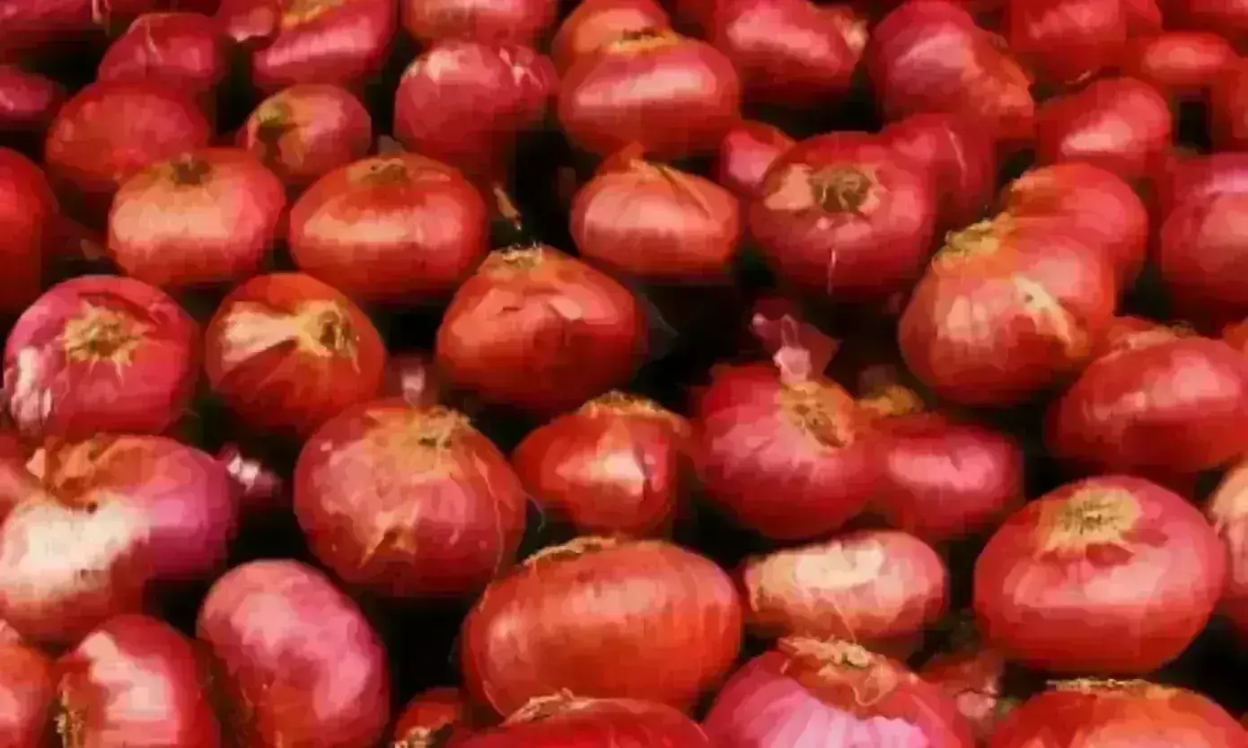 प्याज ने निकाले आंसू, हुआ 70 रुपए किलो प्याज ने निकाले आंसू, हुआ 70 रुपए किलो