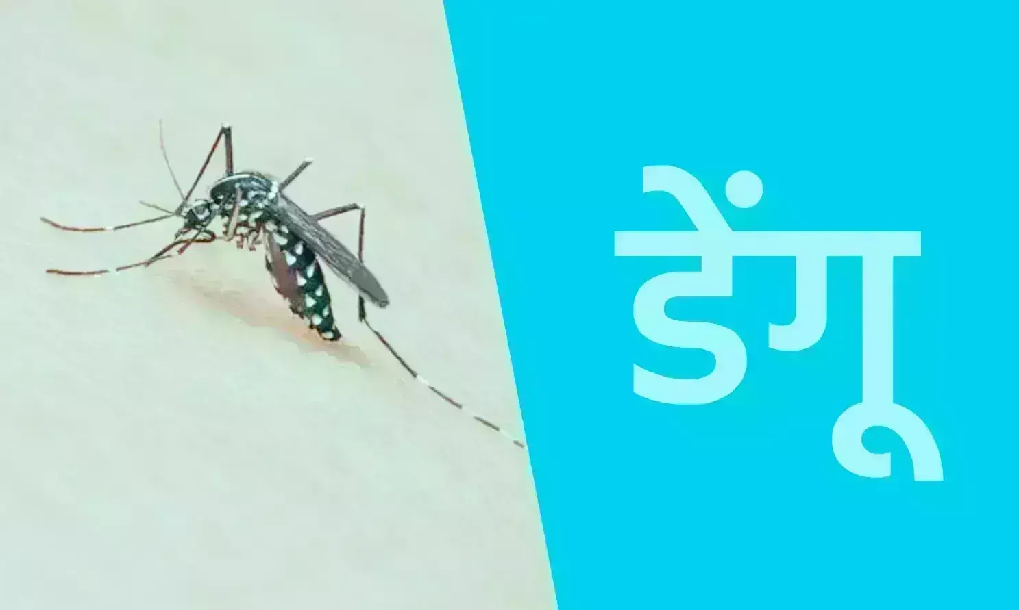 ठंडक के बाद भी नहीं घट रहा डेंगू, 21 नए मरीज आए सामने