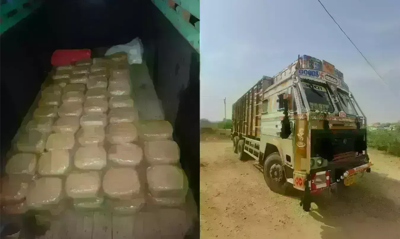 पचास लाख गांजे के साथ चार तस्कर दबोचे, उड़ीसा से ट्रक व स्कार्पियो में ला रहे थे खेप