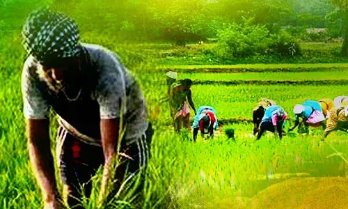 प्रदेश के किसानों ने मध्‍यप्रदेश को बीमारु राज्‍य से ऊपर ऊठाया,  प्रति व्‍यक्ति आय में वृद्धि