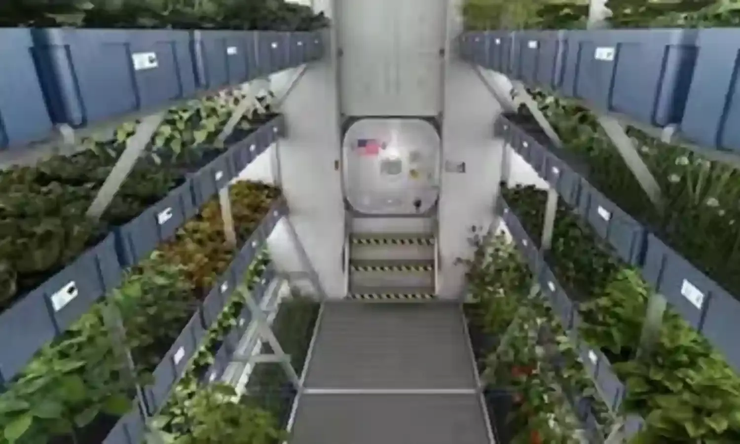 स्पेस स्टेशन में उगाए प्याज और टमाटर ,स्पेस में खेती चीनी अंतरिक्ष यात्रियों की मिली बड़ी कामयाबी