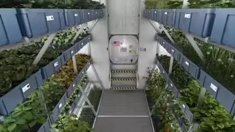 स्पेस स्टेशन में उगाए प्याज और टमाटर ,स्पेस में खेती चीनी अंतरिक्ष यात्रियों की मिली बड़ी कामयाबी