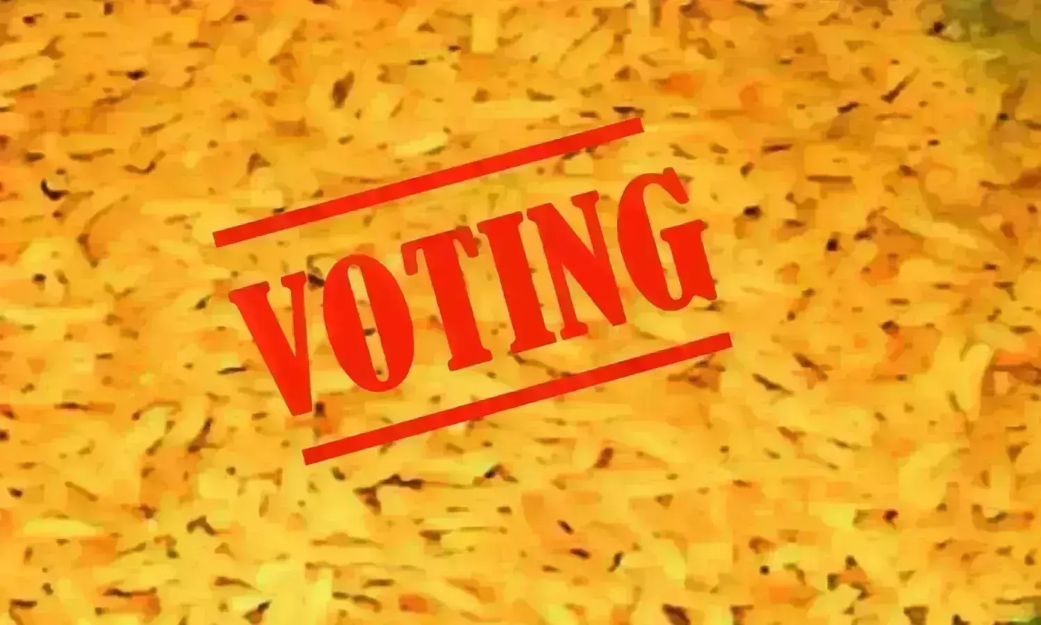 पीले चावल देकर घर-घर जाकर मतदान करने के लिए किया आग्रह