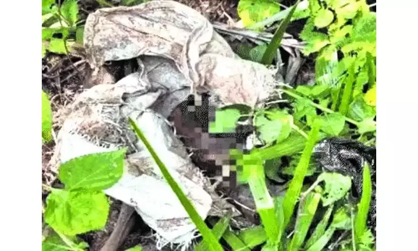 श्वान के 10 दिन के बच्चे को जिंदा जलाया