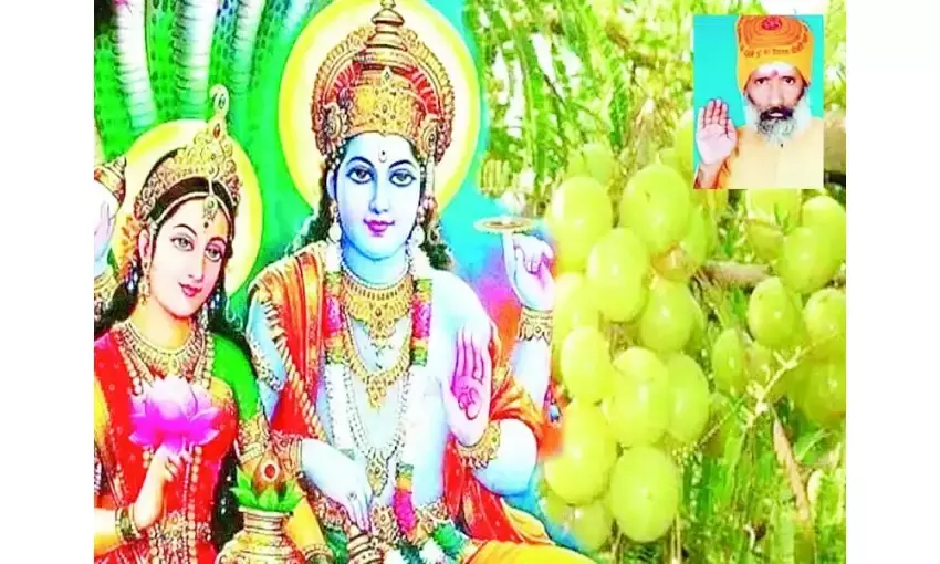 महापातक के क्षय हेतु व्रत है आंवला नवमी