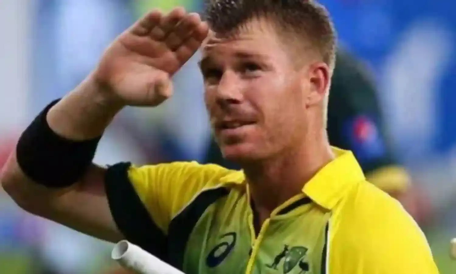 भारत के खिलाफ टी-20 श्रृंखला में नहीं खेलेंगे वार्नर सहित कई बड़े खिलाड़ी