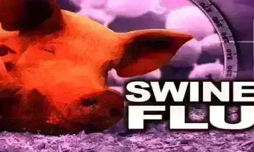 डेंगू के बाद अब स्वाइन फ्लू दे सकता है दस्तक, स्वास्थ्य विभाग में नहीं कोई तैयारी डेंगू के बाद अब स्वाइन फ्लू दे सकता है दस्तक, स्वास्थ्य विभाग में नहीं कोई तैयारी