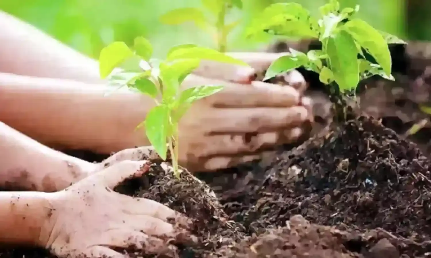 जीवन प्रकृति के साथ चलने पर ही संभव