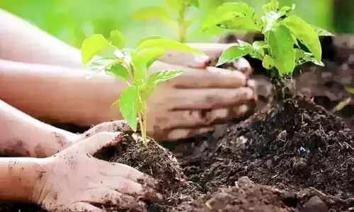 जीवन प्रकृति के साथ चलने पर ही संभव