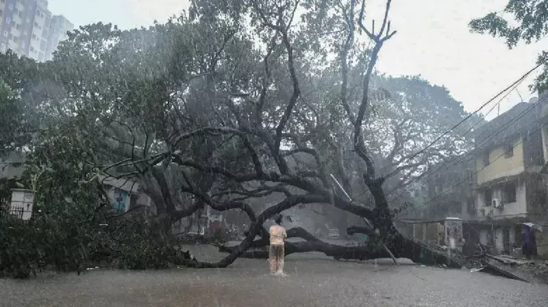 चक्रवात मिचौंग से तमिलनाडु और आंध्र प्रदेश में जनजीवन अस्त-व्यस्त , आज पार करेगा दक्षिण तट को