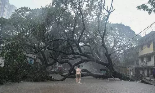 चक्रवात मिचौंग से तमिलनाडु और आंध्र प्रदेश में जनजीवन अस्त-व्यस्त , आज पार करेगा दक्षिण तट को