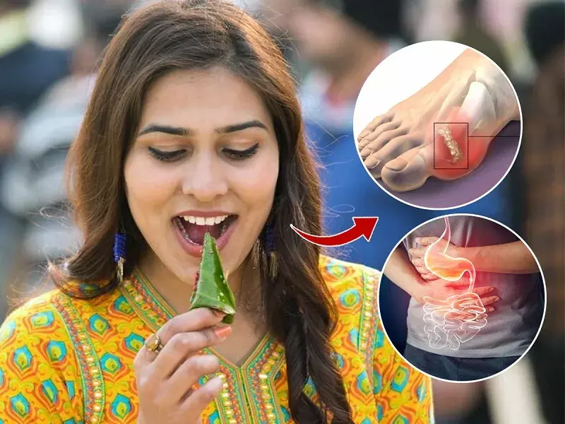 खइके पान बनारसवाला! विदा के पत्ते खाने के 4 फायदे, पाचन क्रिया बेहतर होती है और कैल्शियम तेजी से बढ़ता है