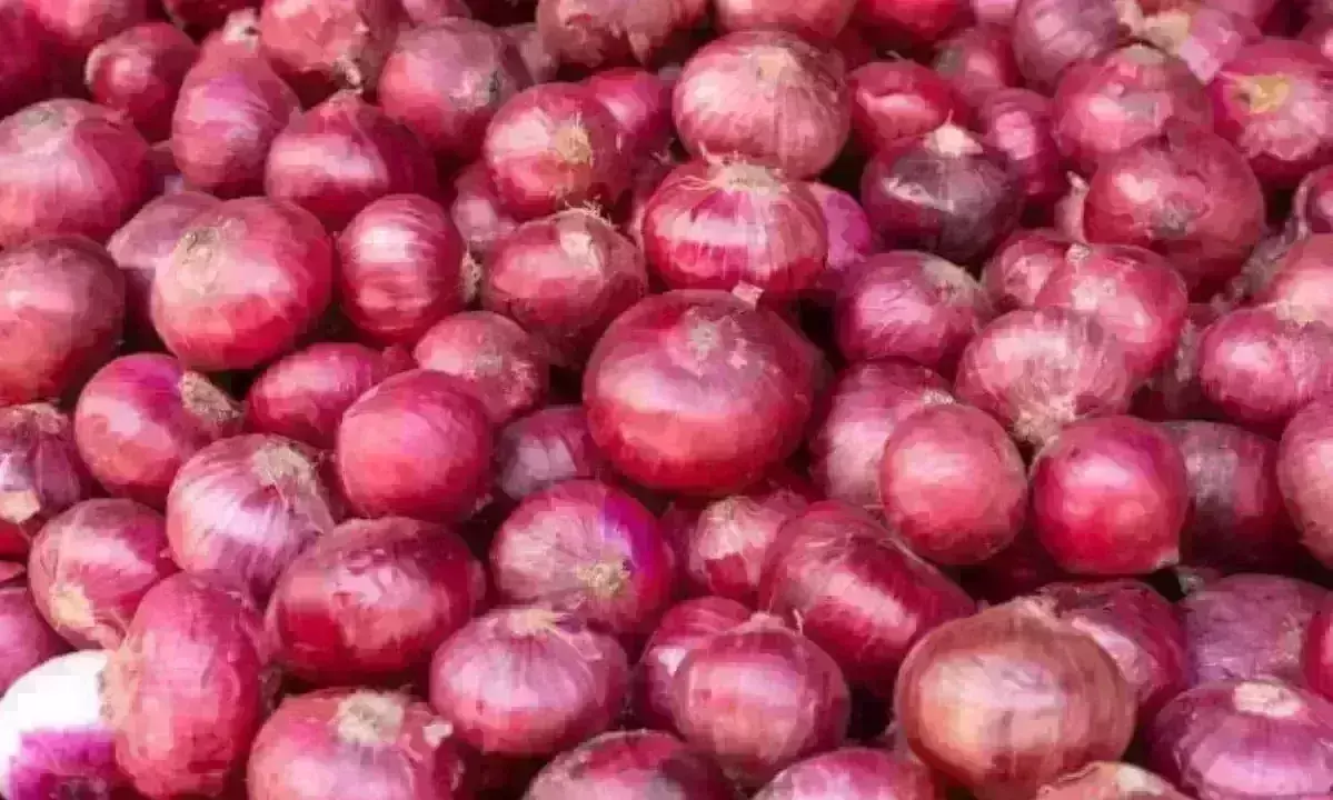 Onion