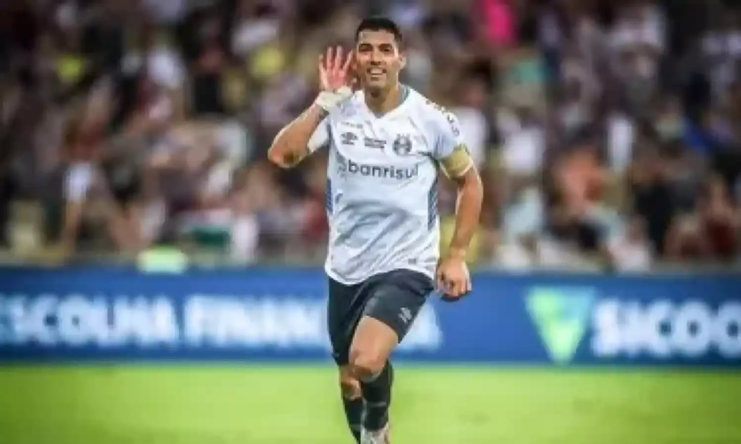 ब्राज़ीलियाई सीरी ए : लुइस सुआरेज़ ने जीता गोल्डन बॉल का पुरस्कार ब्राज़ीलियाई सीरी ए : लुइस सुआरेज़ ने जीता गोल्डन बॉल का पुरस्कार