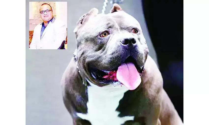 खूंखार कुत्तों को रखने पर सुप्रीम कोर्ट सख्त