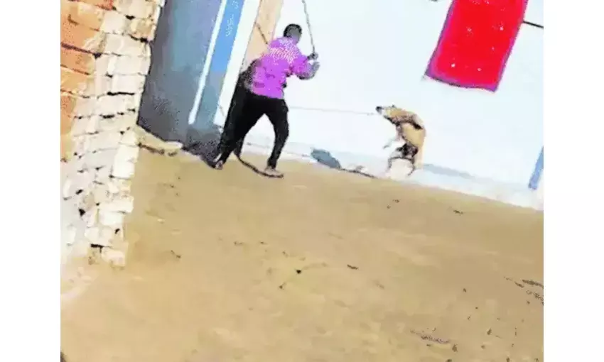 बकरी के तीन बच्चे खाने पर कुत्ते को पीटकर मार डाला