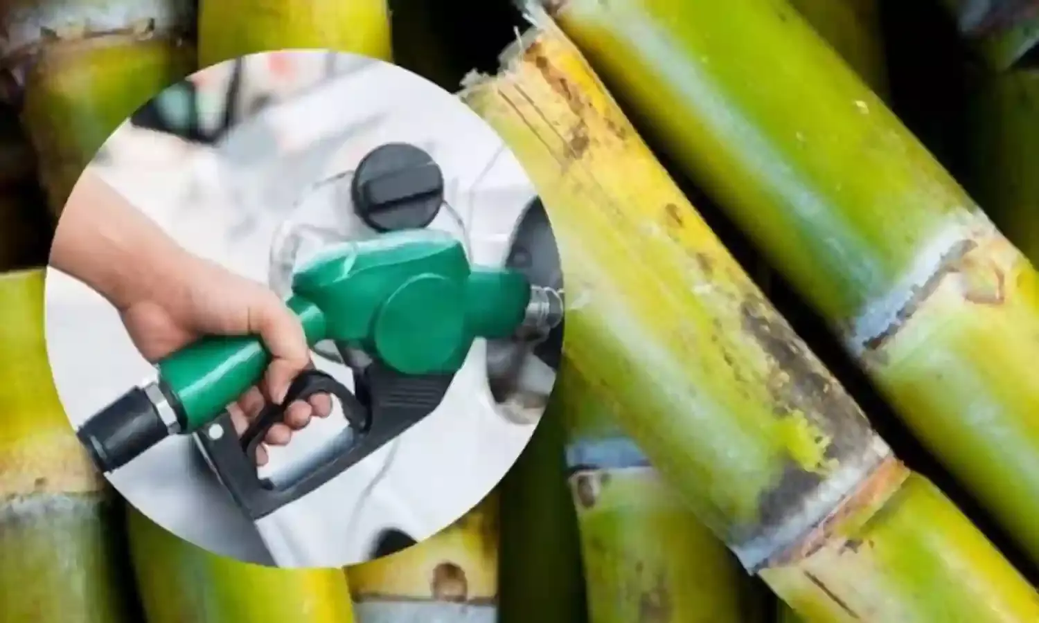 सरकार ने गन्ने के जूस से एथेनॉल बनाने पर लगी रोक हटाई