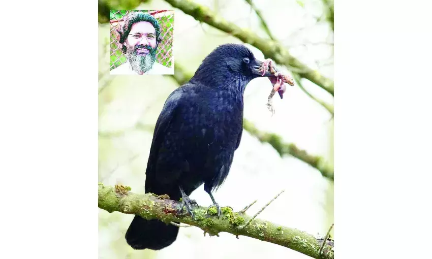 मीन सदा जल में रहै, धोये बास न जाय