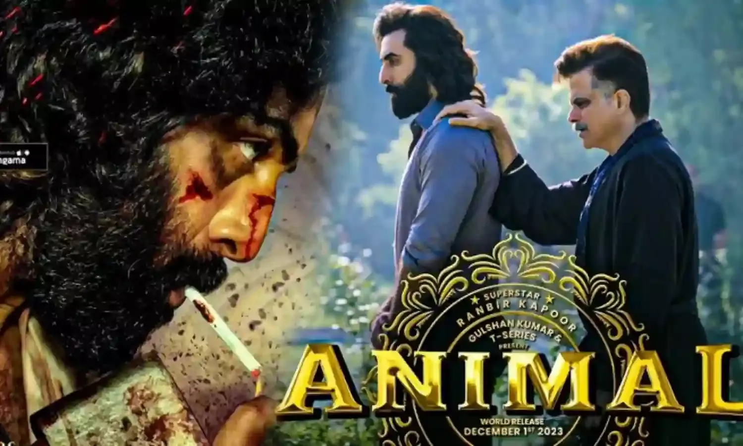 एनिमल ने वीकेंड पर फिर मचाया धमाल