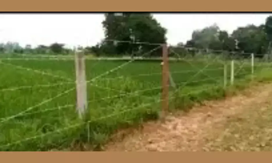 खेत की तारफेंसिंग उखाड़ने से रोकने पर चलाई गोलियां