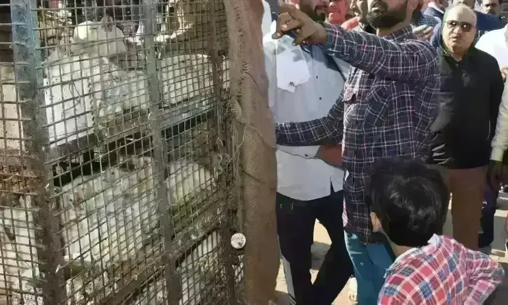 10 दुकानों से वसूला पांच हजार का जुर्माना, 22 दुकानदारों को दी चेतावनी