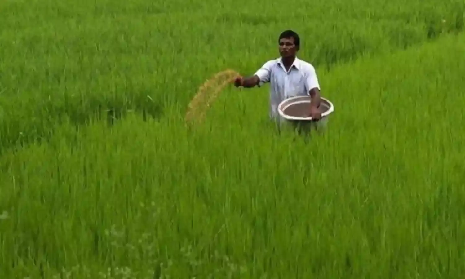 खेत-खलिहान के प्रयोगधर्मियों के नवाचारों को संरक्षण आज की जरूरत