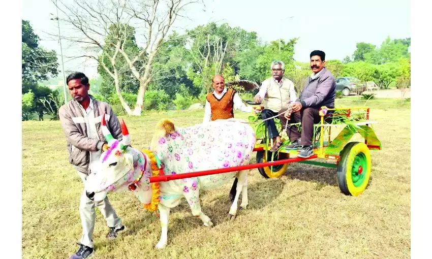 कृषि वानिकी संस्थान को कार्बन न्यूट्रल बनायेगी बैलगाड़ी